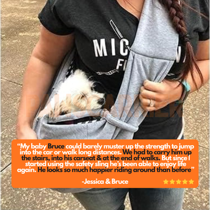 PawsCarrier™  – Best Comfortable Dog Carrier